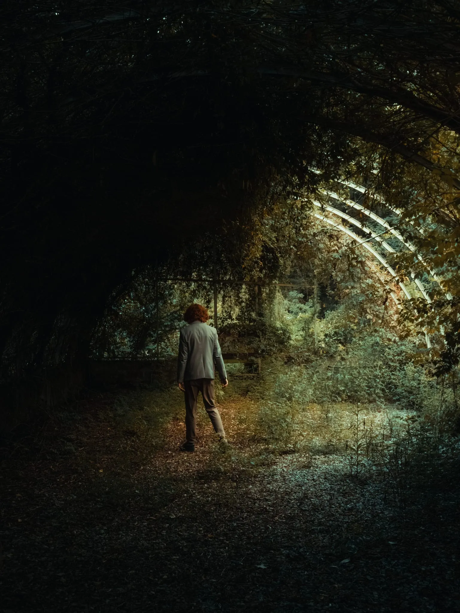Editorial portrait — forest light