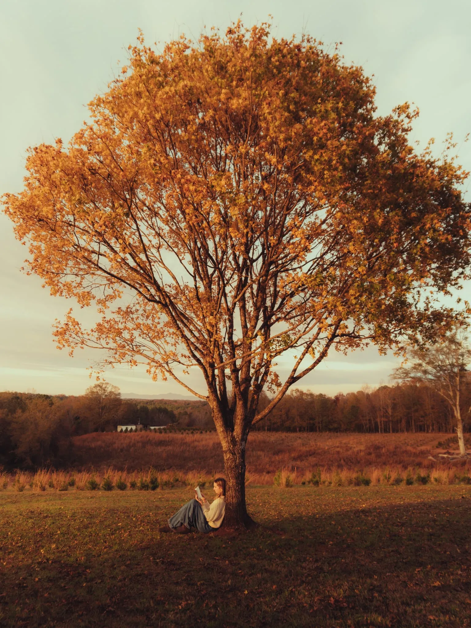 Golden hour portrait